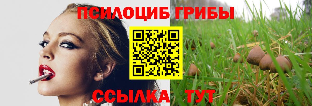 Галлюциногенные грибы ЛСД Новоуральск